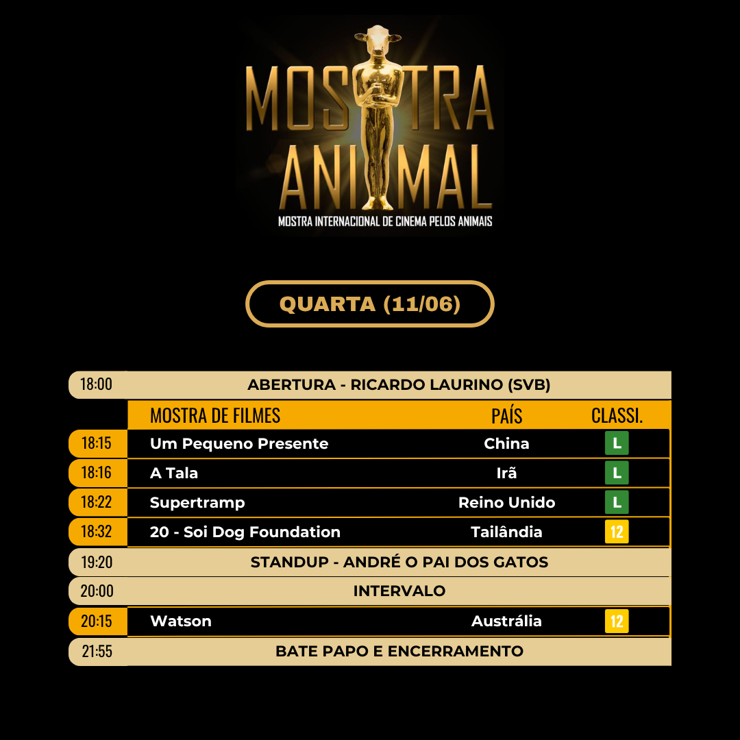 Programação dia 11