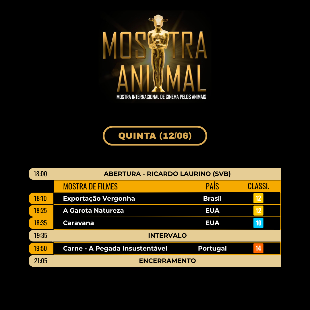 Programação dia 12
